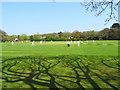 Cricket in Jubilee Park in LN10 6QQ