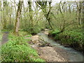 View downstream, from the lower footbridge, Bracket's Coppice in BA22 9QX