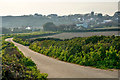 Cornwall : Country Lane in TR20 9NJ