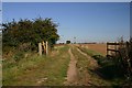 Bridleway to Whittlesford in CB22 4QW