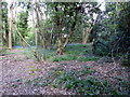 Bluebells is Gillham Woods Nature Reserve in TN39 4ST