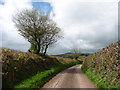 Minor road to Stoodleigh in EX16 9PT