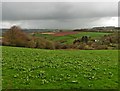 View towards East Stoodleigh Barton in EX16 9PT