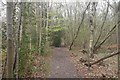 Path, Butterdean Wood in EH34 5BG