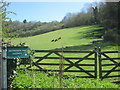 At the foot of the hill - Oxfordshire Way sign at Middle Assendon in Bix and Assendon