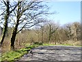 Car parking for walks in Cookworthy Moor Plantation in EX21 5UU