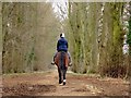 Horse riding on the bridleway in OX33 1SA