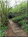 Footbridge at Marline Valley Nature Reserve in TN38 9RF