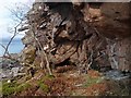 Rock shelter, Coille Ghillidh, Ross and Cromarty in IV54 8LZ