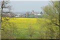 View to Suckley church in Suckley