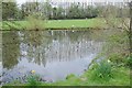 Pond near Hall House in Suckley