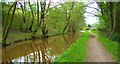 Peaceful towpath on the Monmouthshire and Brecon Canal, Talybont-on-Us in LD3 7YJ