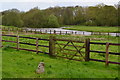 Gate and lake at Manor Farm in SP5 2BG