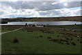 Clowbridge Reservoir from Springfield Road in BB11 5NT