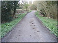 Footpath into Spen Banks Wood in NE39 2EB