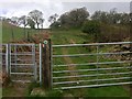 Gate and footpath in CF38 2PT