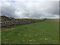Drystone wall on Begin Hill in CA17 4NX