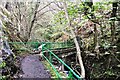 Tillicoultry Glen Bridge #2 in FK13 6ER