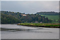 West Devon : The River Tamar in PL12 6QD