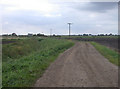 Steel's Drove across Great West Fen in PE38 0LE