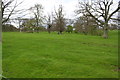 Grass area in Burton Park in DL8 5NF