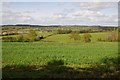 Farmland near Cooksey Green in B61 9EP