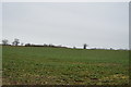Farmland by Hawstead Lane in Sicklesmere
