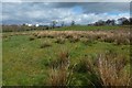 Field beside a footpath in G83 9EY