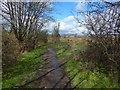 Footpath to the Haldane in G83 9EY