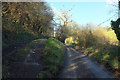 Track to Combe Quarry in TQ7 1FJ