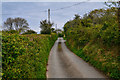 North Devon : Shute Lane in EX34 0DS