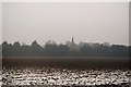 A misty view across a snowy field in RM14 3NA