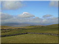 Bield on the near horizon in Grassington