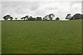 Pasture in the Harbourne Valley in TQ10 9LL