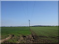 Poles in farmland in DD5 3RL