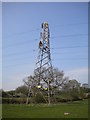 Pylon maintenance north of Bagthorpe in NG16 5QZ