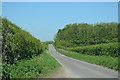 Lane north from Kentsboro in SO20 8DZ