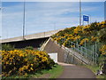 M74 passes over the Clyde Walkway in G32 8RA