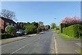 Looking along Oulston Road in YO61 3QQ