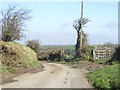 Two field gates on the road to Tresibbett in PL15 7RD
