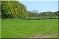 Field beside New Templeton Gorse in RG17 9EB