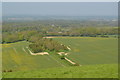 View over farmland from Walbury Hill in RG17 9ED