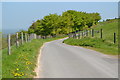 Lane on Walbury Hill in RG17 9ED