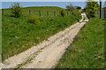 Wayfarer's Walk by the car park on Walbury Hill in RG17 9ED
