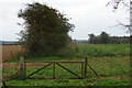 Farmland east of the Peddars Way near Anmer in PE31 6RL