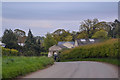 East Devon : Country Lane in EX5 2RN
