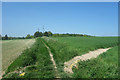 Bridleway towards Chisbury Wood in SN8 3LW