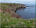 Cliffs north of Berwick-upon-Tweed in TD15 1TU