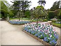 Tulips in the Summer Garden, Holker Hall in LA11 7PN