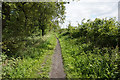 Bridleway off Laporte Road at Long Strip in DN31 3AS